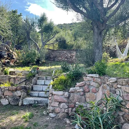 Villa La Petra *